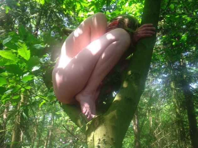 Speels in de boom of oud in een kar