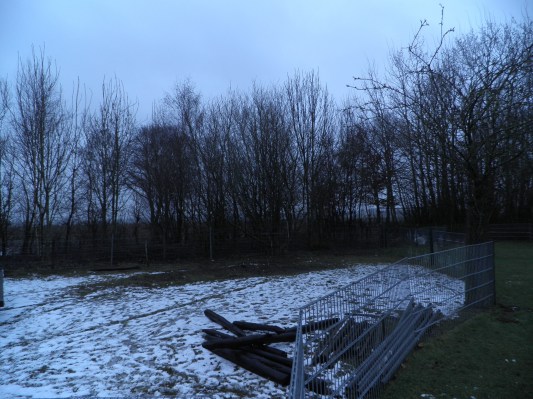 Stukje grond voor tuin.