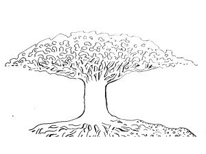 Deze boom is ontsproten uit mijn verbeelding maar blijkt echt te bestaan.  Dit is de boom die ik voor me zie, wat ik heb later groeien door mijn aanwezigheid.