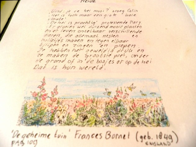 Heidetekening in Alowiekes plantenboekje