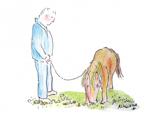 Man met paard, Brabant