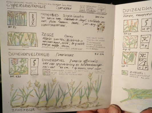 Mijn boekje over plantenfamilies