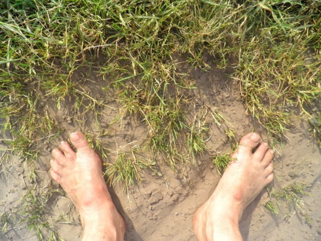 Wat zie ik? Voeten in het gras