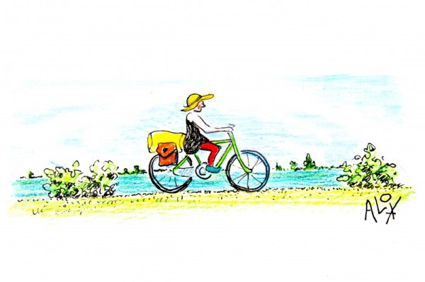 Op pad om muildieren te zien.