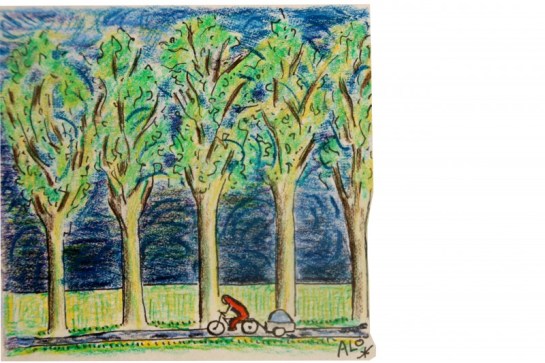 fietseninnoodweer 002