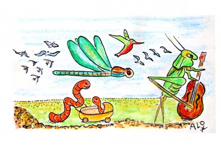 revolutievdkolibries 001