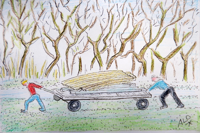 blogtek uitproberen 003