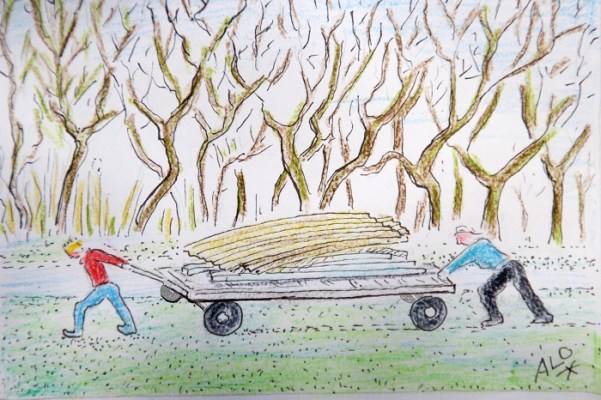 blogtek uitproberen 003