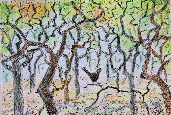 blogtek winterkoning fluit de lente