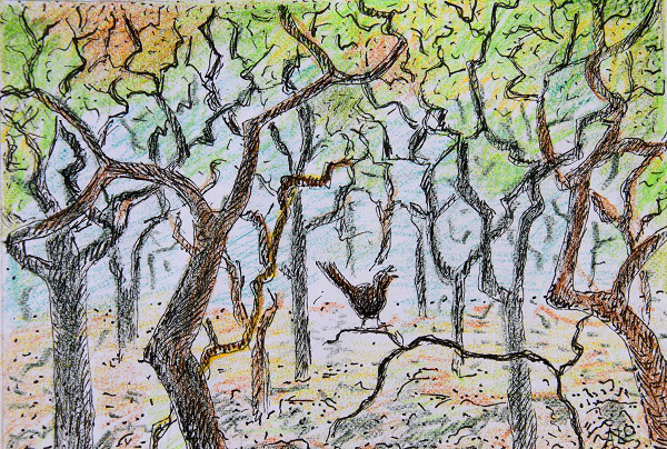 blogtek winterkoning fluit de lente