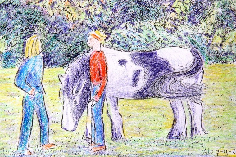 Blogtek reiziger met tinker kl 001