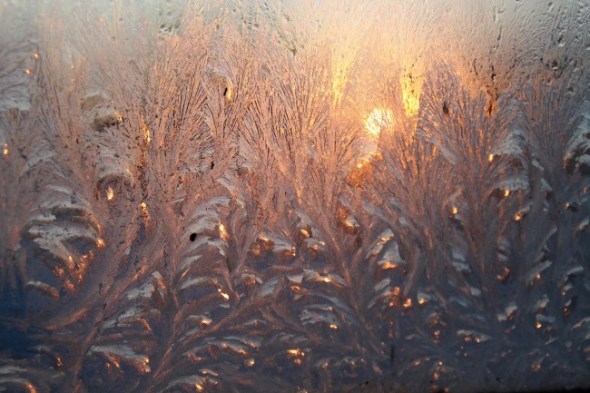 Ijsbloemen in ochtendzon.kl.frm