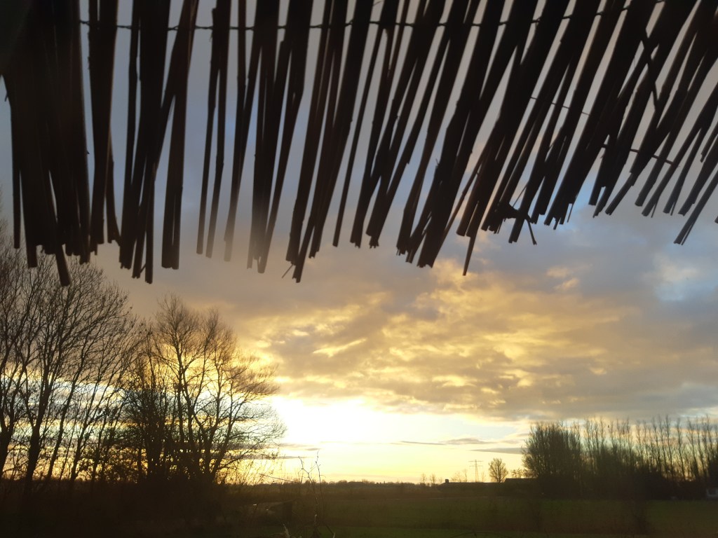 Contouren van een nieuw verhaal – Alowieke